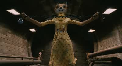 Look at you, girl. - Fantastic Mr  Fox