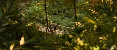 Look at him go! - Rise of the Planet of the Apes