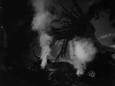 Look at him.
Is it not good to see him suffer? - I Married a Witch