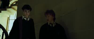 Look at him. - Harry Potter and the Prisoner of Azkaban
