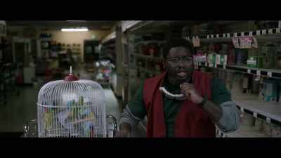 Look at it!
It wants you to see it! Let me in! - Bird Box
