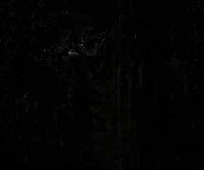 Look at me. - Sunrise: A Song of Two Humans