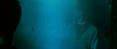 Look at me. - Harry Potter and the Order of the Phoenix