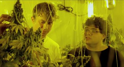 Look at me - Kid Cannabis