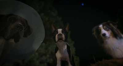 Look at me. You're gonna live, - Strays