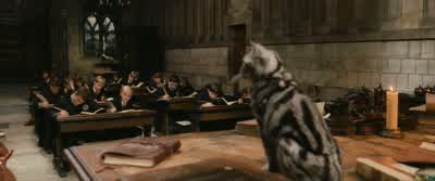 Look at that one.- I think she fancies you. - Harry Potter and the Philosopher's Stone