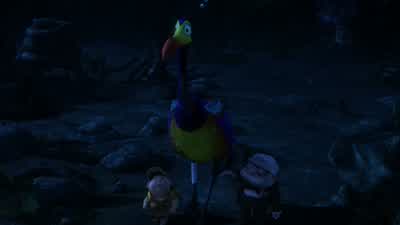 Look at that bird go! - Up