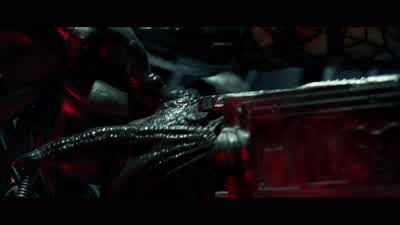 Look at that. - Alien vs  Predator