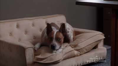 Look at that! He was
interviewed by the police - Chronicle Mysteries: Recovered