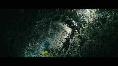 Look at that, one, two, three, four, five. - The Bigfoot Trap