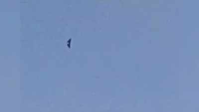 - Look at that.
- [Ozzy] It's a bird. - The Osbournes Want to Believe