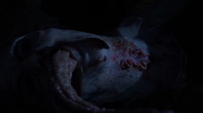 Look at that. - The Strain