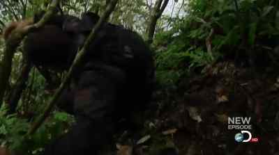 LOOK AT THAT. - Man vs. Wild