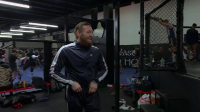 Look at the bleedin' amount of them. - McGREGOR FOREVER