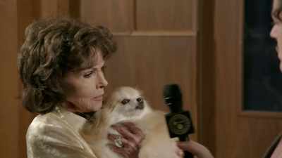 Look at the eyes.
Look at the eyes. - Gary Busey: Pet Judge