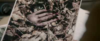 Look at the leaves,
early September, - Beneath The Leaves