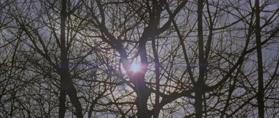 Look at the rays - Evelyn