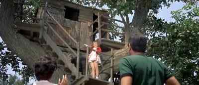 - Look at the real tree house!
- Uh-huh, a tree house. - 40 Pounds of Trouble