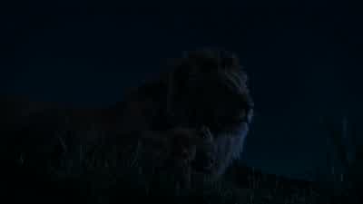Look at the starsThe great kings of the pastlook down on us from those stars - The Lion King