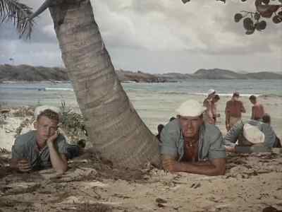Look at them. - Away All Boats
