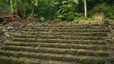 Look at these massive stairs
and these terraced mounds. - Lost Treasures of the Maya
