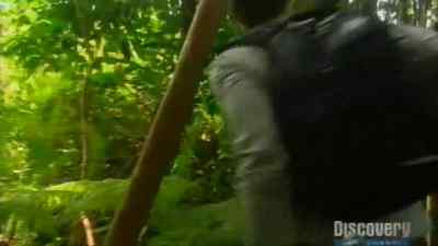 Look at this.
Look. - Man vs. Wild