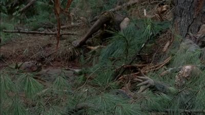 Look at this. - The Walking Dead