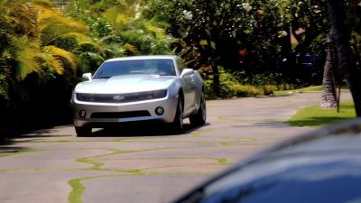 Look at this. - Hawaii Five-0