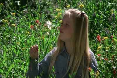 Look at this. - The Adventures of the Wilderness Family