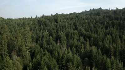 Look at this,
there's two across
right here, - Expedition Bigfoot