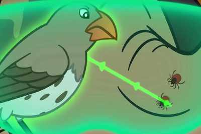 Look at this way healthy,
way special ecosystem. - The Magic School Bus Rides Again