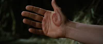 Look at what you did. - Eragon
