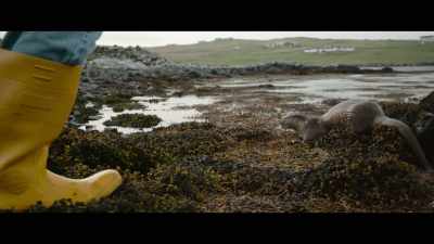Look at you,
catching your own. - Billy & Molly: An Otter Love Story