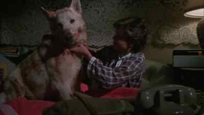Look at you. You're a mess. Huh? - White Dog