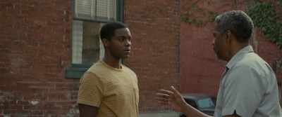 Look, boy, - Fences