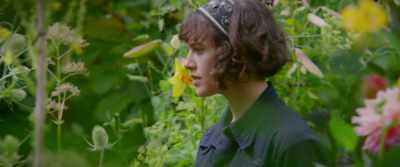 Look, clambering,
climbing clematis. - This Beautiful Fantastic