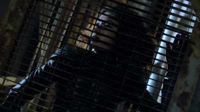 - Look, Dodge, whoever
told you I crossed you - Most Dangerous Game