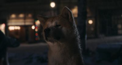 Look you don't have to wait anymore - Hachi: A Dog's Tale
