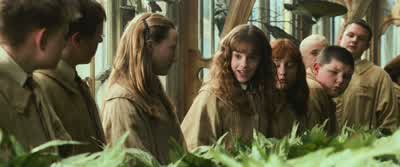 Look, everyone.Weasley's got himself a Howler. - Harry Potter and the Chamber of Secrets