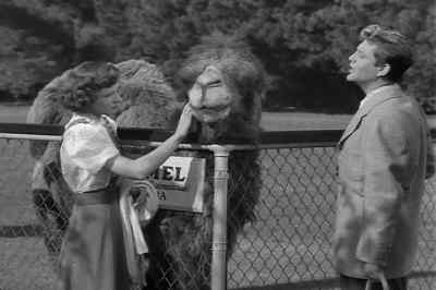 Look. He loves you. - Bewitched