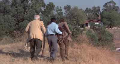 Look! He's headed back toward the house. - The Incredible 2-Headed Transplant