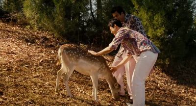 Look how cute this deer is - Harold &amp; Kumar Escape from Guantanamo Bay