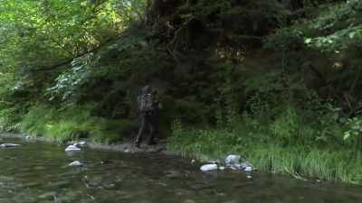 Look how these ferns have
been pushed down right here, - Expedition Bigfoot
