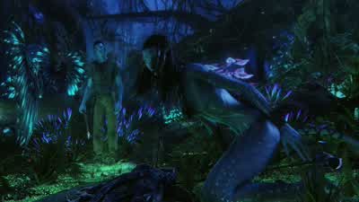 Look, I know you probably don't understand this, - Avatar