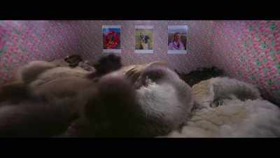 Look it is,
I'm tired you, get away! - Billy & Molly: An Otter Love Story