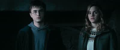 Look, it all sounds great when you say it like that... - Harry Potter and the Order of the Phoenix