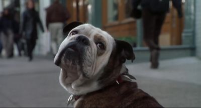 Look it's ok for me to shit in the street - Little Nicky