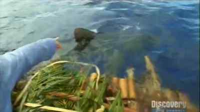 Look! look! look! look! - Man vs. Wild