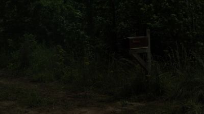 Look! Look! - The Walking Dead