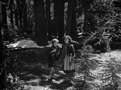 - Look, Mytyl. There's one. - The Blue Bird